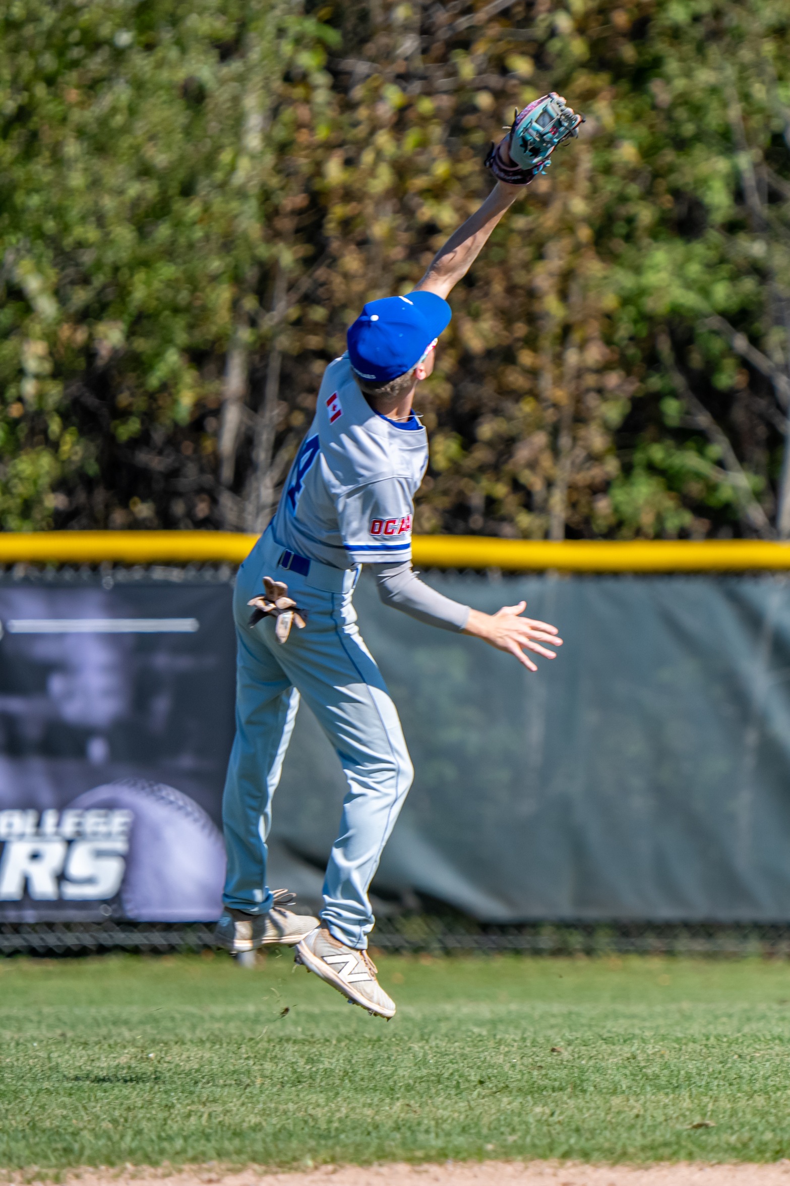 Cougars fall to the Lambton Lions
