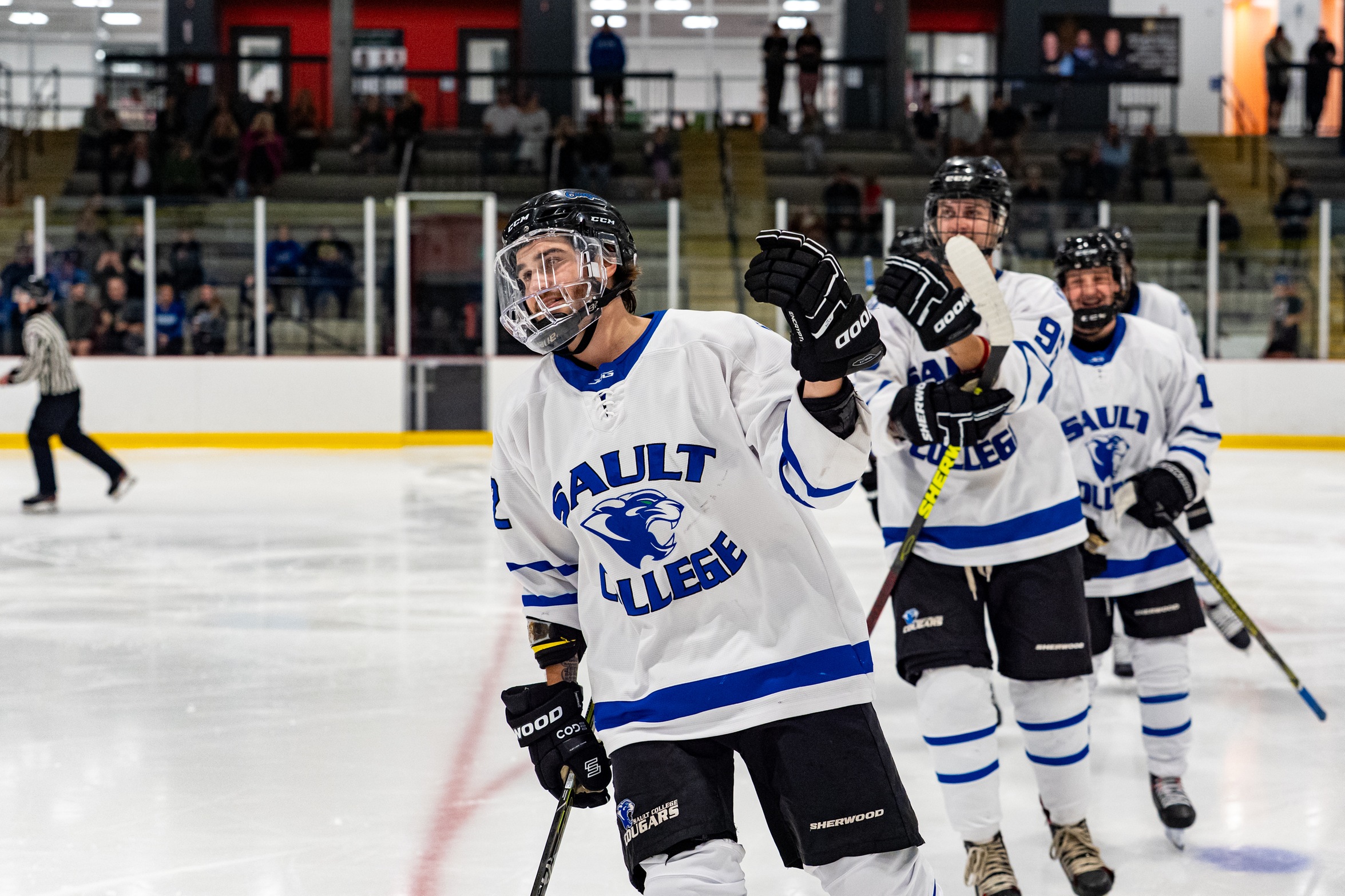 Men's Hockey Opens Battle of the Border Series With Two Wins