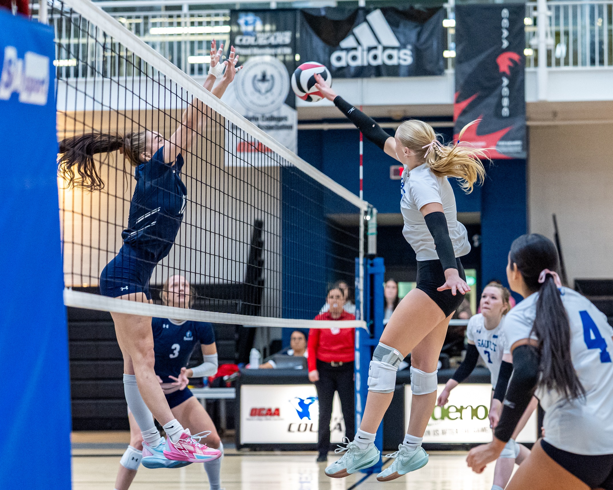 Women's Volleyball Opens Season at Home