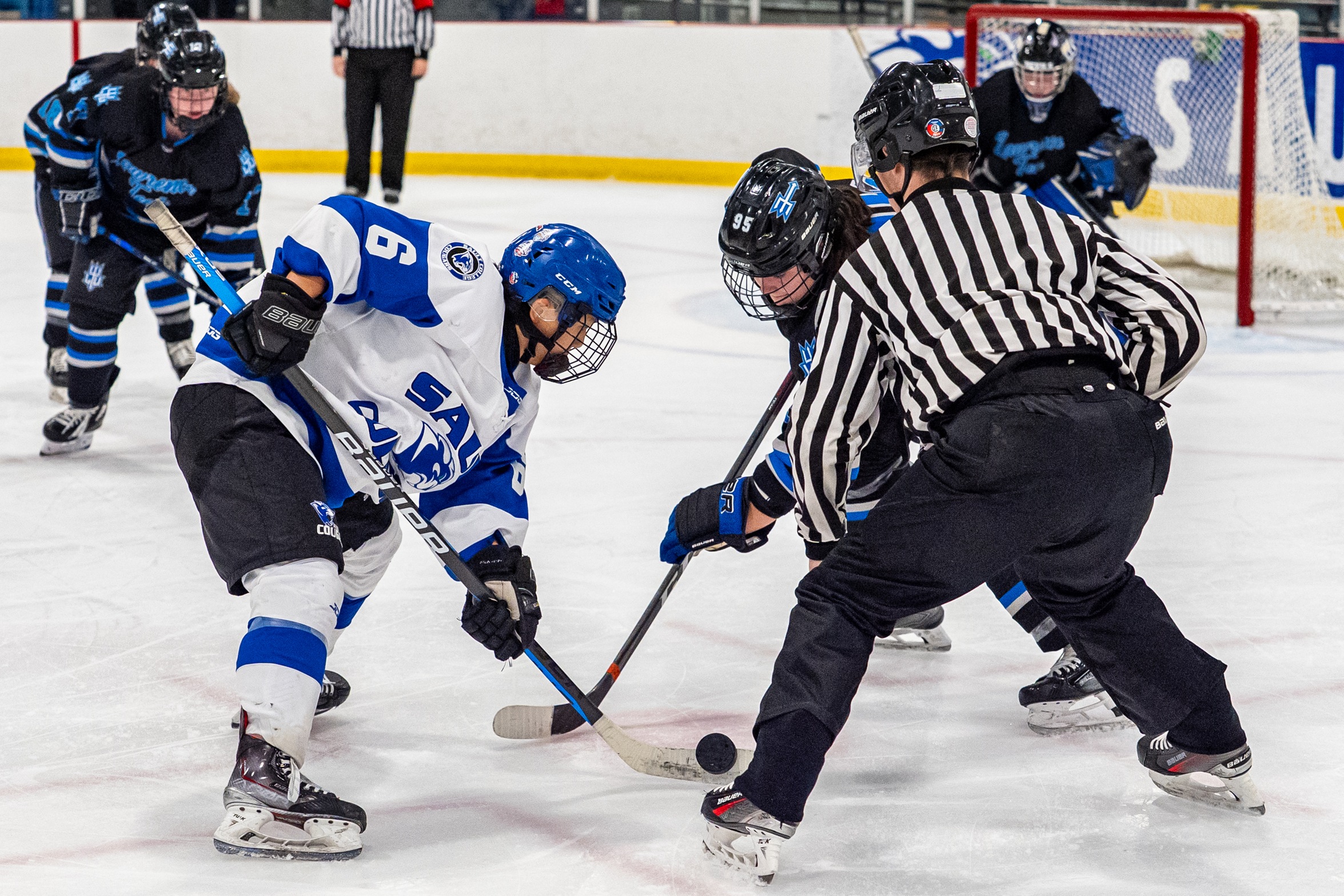 Cougars Dominate Weekend Set Against Lawrence Tech with Explosive Offense