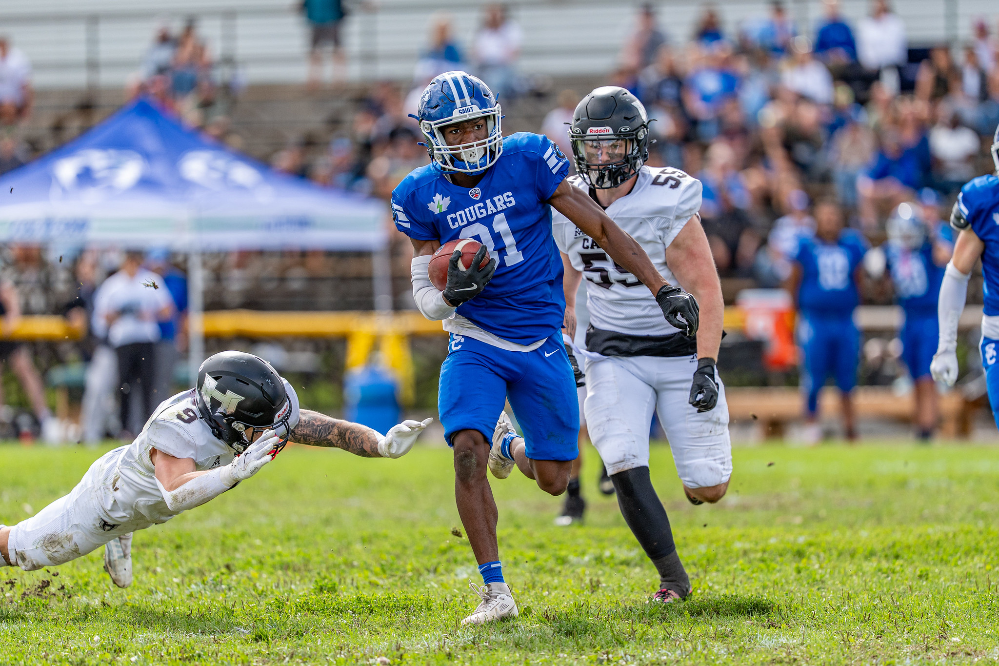 The Cougars face the Ottawa Sooners in a preseason game for their second season in the CJFL (Photo: Sault College Cougars)